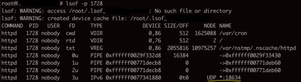 File handling listing of compromised NetScaler device