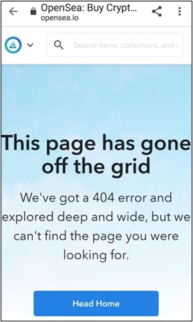 Figure-13:-NFT-error-message