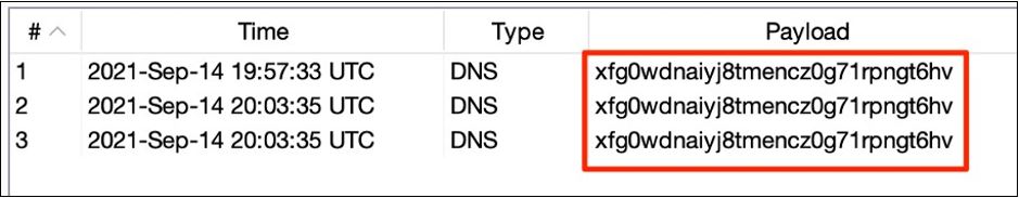 図 8: コード実行を証明する DNS コールバック
