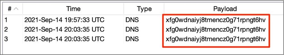 Figure 8: DNS callback proving code execution