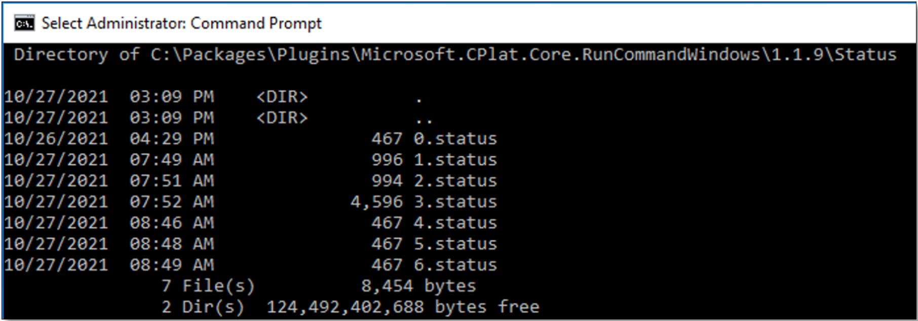 Directory listing showing output files from run-commands