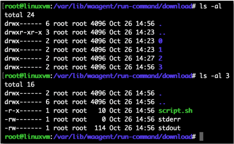 Contents of the /var/lib/waagent/run-command/download directory