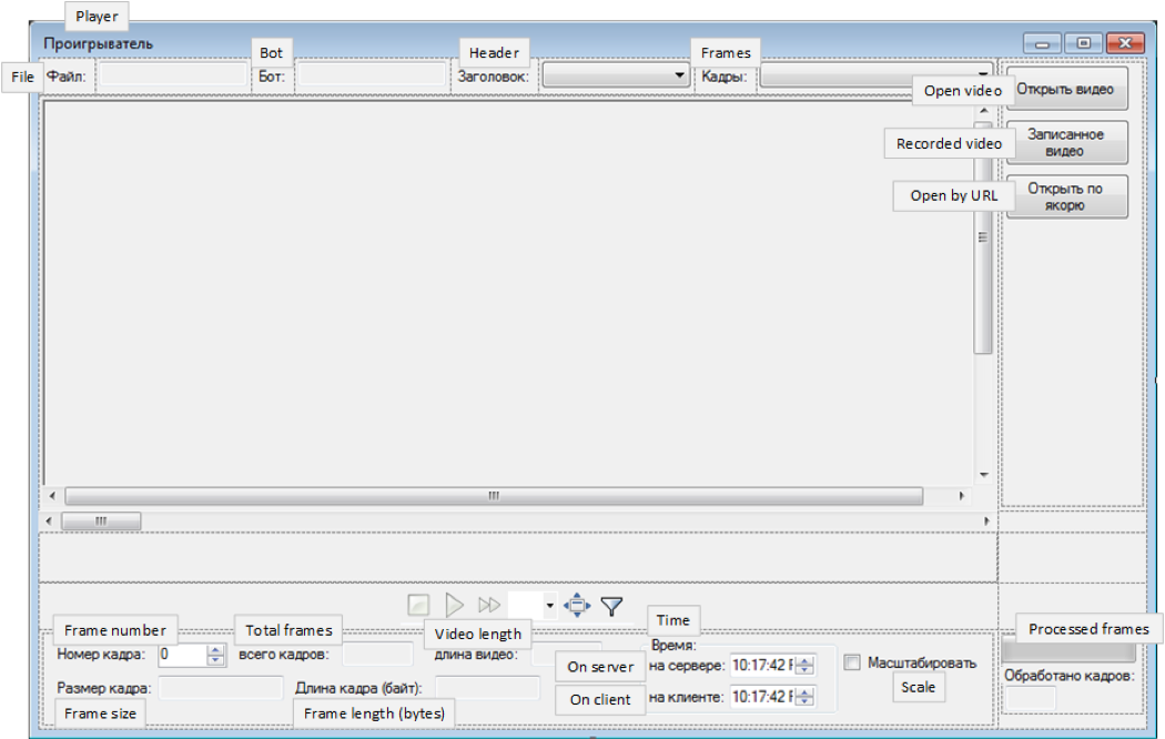 Translated video playback application user interface