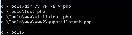 Recursive search through Windows using the dir command