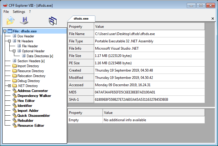CFF Explorer は、dfsds.exe が .NET 実行可能ファイルであることを示しています