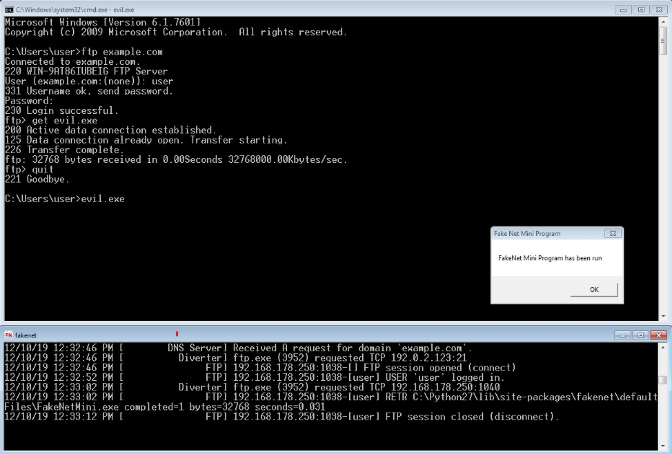 Using FTP to download FakeNet-NG's default executable response