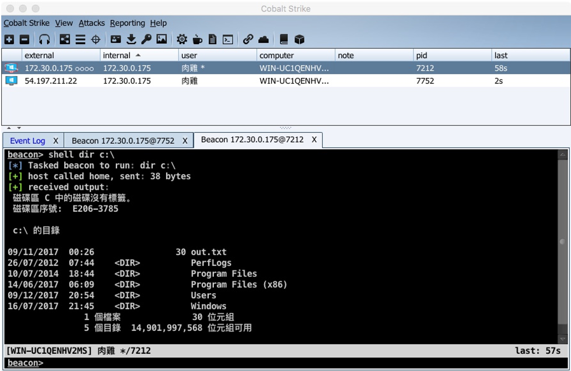 Cobalt Strike 3.10 client view