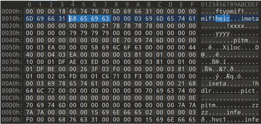 image-fuzzing6