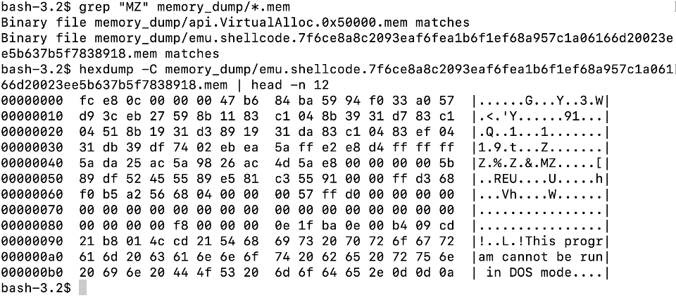 Memory dump containing the decoded malware