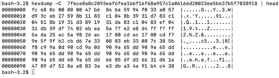 Hex dump of malware sample