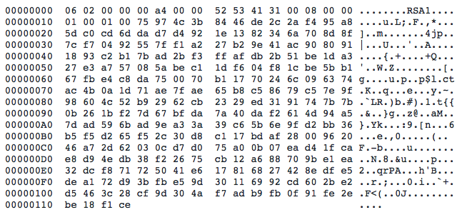 Public RSA key