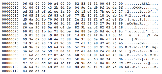 Additional embedded RSA public key